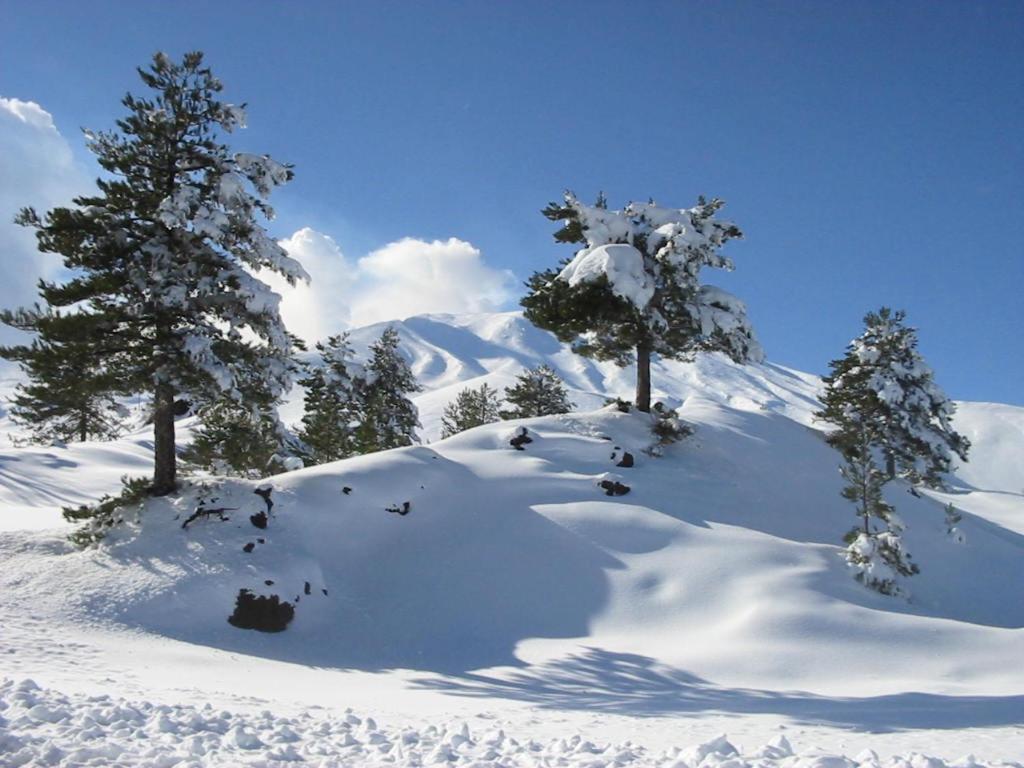 Etna Snow&Sea Apartment Piedimonte Etneo Exterior photo